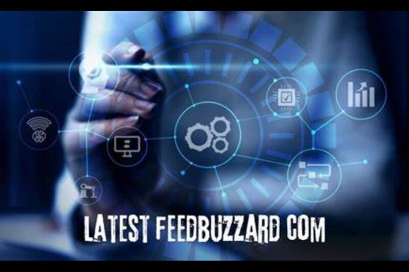 Discovering the Latest Feedbuzzard.com