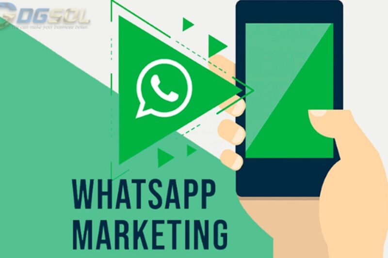 Maximizing Productivity with WhatsApp’s New Interface – DGSOL