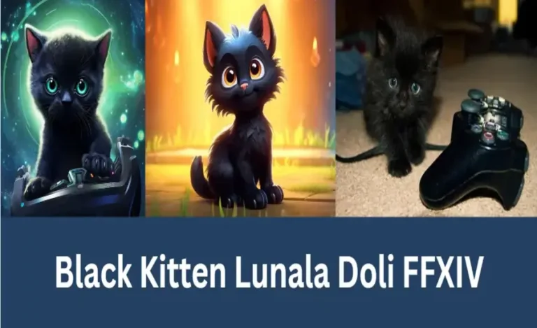Lunala Doll FFXIV Companion Adventurer, Loyalty, & More
