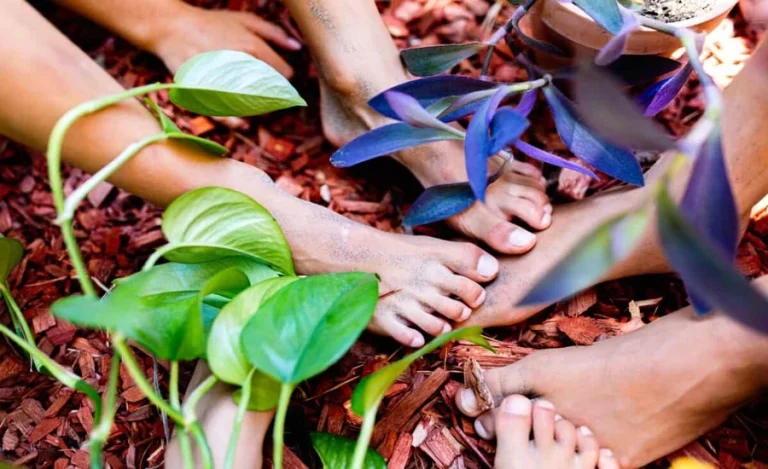 Stay Connected to Nature Anywhere with Innovative Grounding Products 