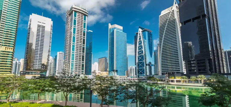What are the benefits of setting up a business in the DMCC Free Zone in Dubai?